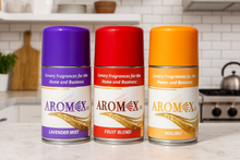 Load image into Gallery viewer, Wall Dispenser Aerosol Cans