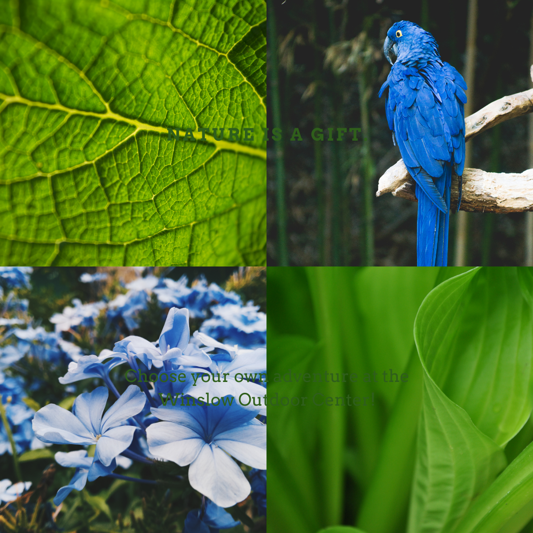 BPA-Free Diffuser Collection